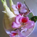 Lai Châu níu chân du khách bằng món măng nộm hoa ban