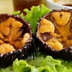 Nhum Khánh Hòa